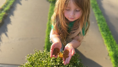 Fertilise your garden